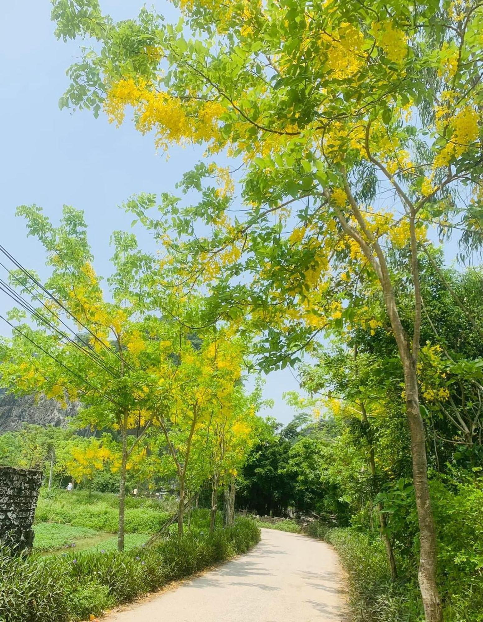 Tam Coc Min House Ξενοδοχείο Vu Lam Εξωτερικό φωτογραφία